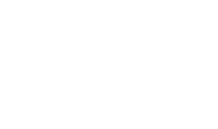 Venenga Spiess Team